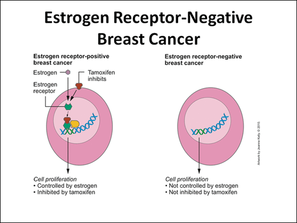 Tamoxifen, Possible Natural Alternatives, and AIs